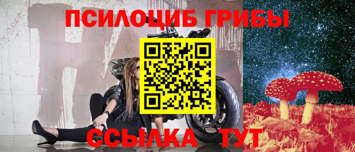 Красный Сулин  Псилоцибиновые грибы мухоморы  наркотики  Псилоцибиновые грибы мухоморы  Вход с VPN 